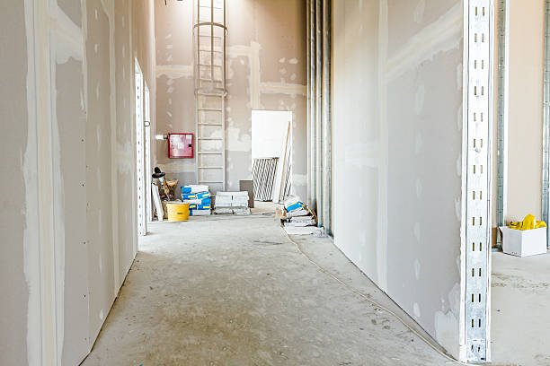 Best Drywall Removal and Disposal  in Cienegas Terrace, TX